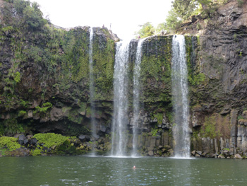 whangarei falls